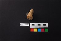 陶片藏品圖，第2張