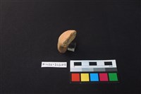 陶片藏品圖，第3張