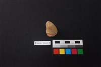 陶片藏品圖，第1張