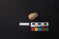 陶片藏品圖，第1張