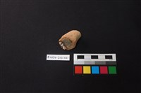 陶片藏品圖，第2張