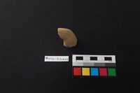 陶片藏品圖，第1張