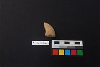 陶片藏品圖，第2張