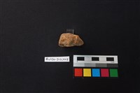 陶片藏品圖，第2張