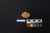 陶片藏品圖，第3張