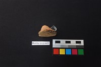 陶片藏品圖，第2張