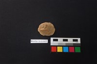 陶片藏品圖，第3張