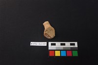 陶片藏品圖，第2張