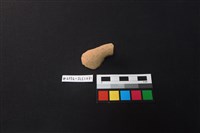 陶片藏品圖，第3張