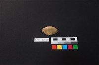 陶片藏品圖，第1張