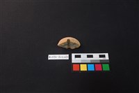 陶片藏品圖，第3張