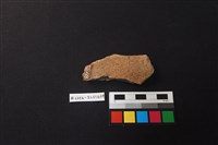 陶片藏品圖，第2張