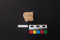 陶片藏品圖，第2張