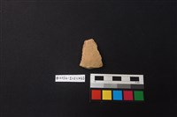 陶片藏品圖，第1張