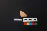 陶片藏品圖，第1張