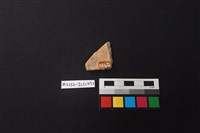 陶片藏品圖，第2張