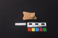 陶片藏品圖，第1張