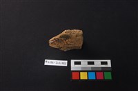 陶片藏品圖，第3張