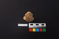 陶片藏品圖，第3張