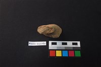 陶片藏品圖，第1張