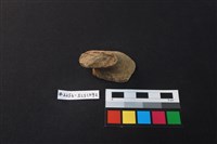 陶片藏品圖，第2張