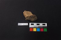 陶片藏品圖，第4張