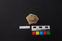 陶片藏品圖，第1張