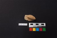 陶片藏品圖，第1張