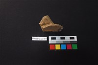 陶片藏品圖，第2張