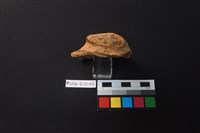 陶片藏品圖，第3張