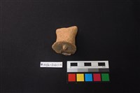 陶片藏品圖，第2張