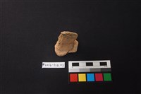 陶片藏品圖，第1張