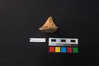 陶片藏品圖，第2張