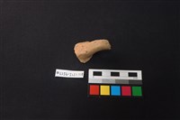 陶片藏品圖，第1張