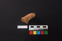 陶片藏品圖，第3張