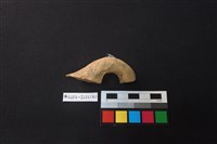 陶片藏品圖，第2張