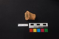 陶片藏品圖，第3張