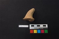 陶片藏品圖，第2張