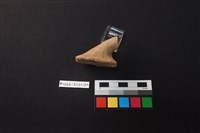 陶片藏品圖，第3張