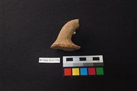 陶片藏品圖，第2張