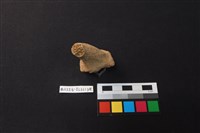 陶片藏品圖，第2張