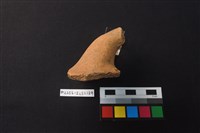 陶片藏品圖，第2張