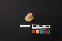 陶片藏品圖，第2張