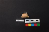 陶片藏品圖，第3張