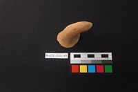 陶片藏品圖，第1張