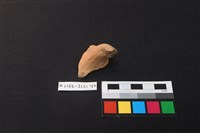 陶片藏品圖，第2張