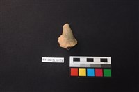 陶片藏品圖，第2張