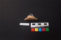 陶片藏品圖，第2張