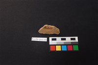 陶片藏品圖，第3張