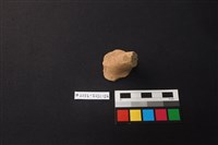 陶片藏品圖，第1張